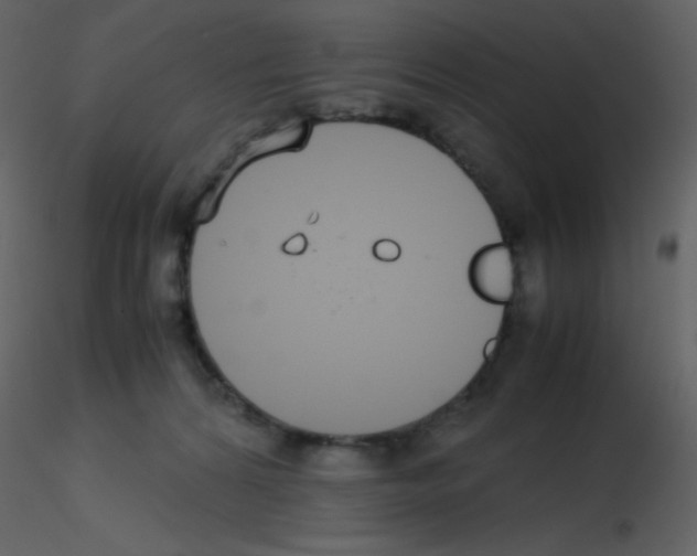 X0000115740224200912241654