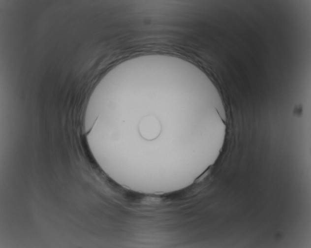 X0000115740227200912241654