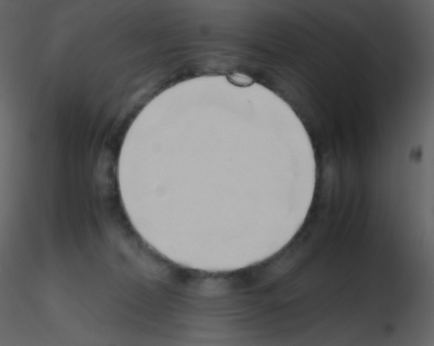 X0000115740228200912241654