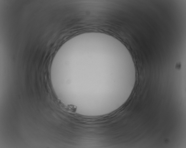 X0000115740229200912241654