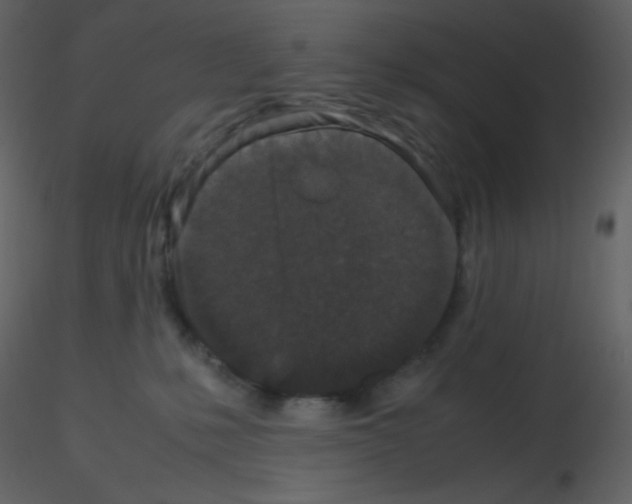 X0000115740231200912241654