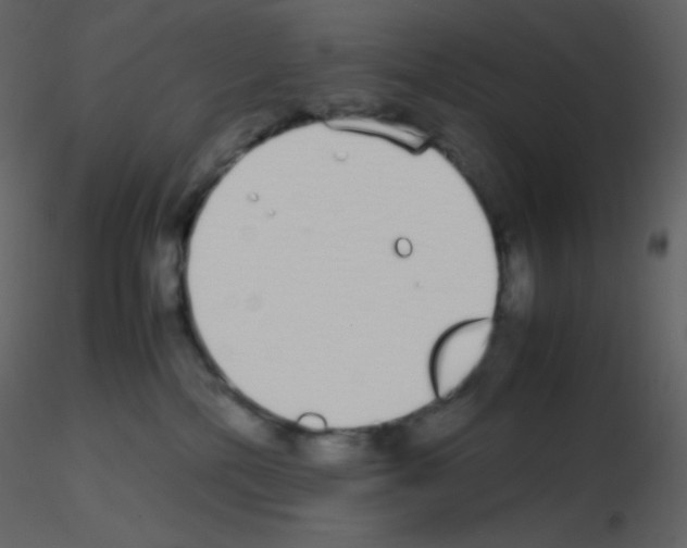 X0000115740232200912241654