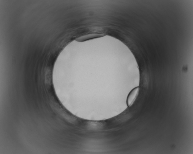 X0000115740234200912241654