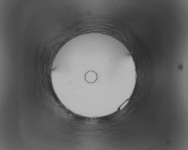 X0000115740235200912241654