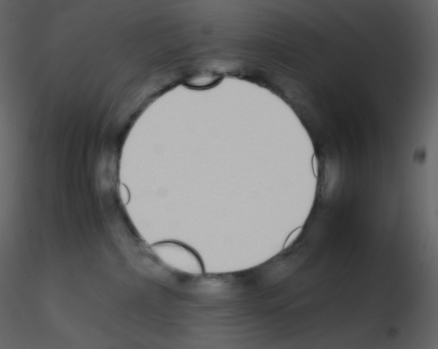 X0000115740236200912241654