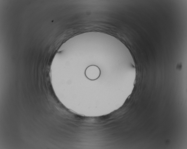 X0000115740237200912241653