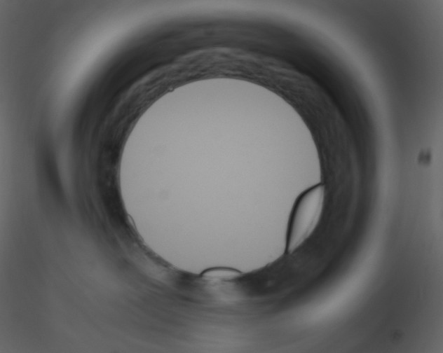 X0000115740239200912241653