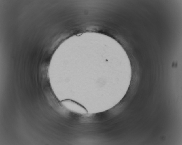 X0000115740240200912241653