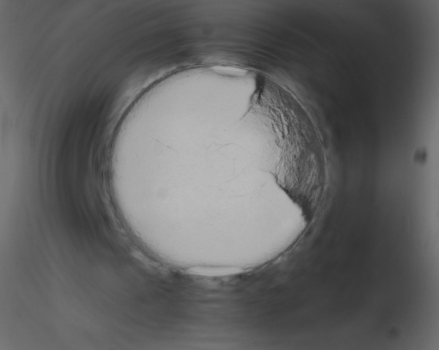 X0000115740241200912241653