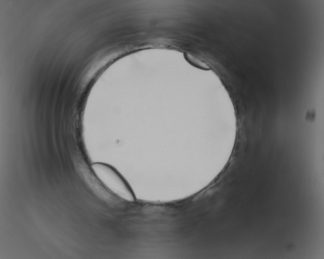 X0000115740242200912241653