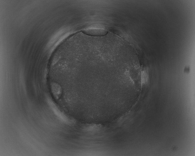 X0000115740243200912241653