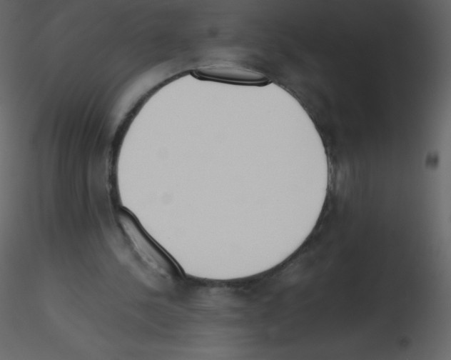 X0000115740244200912241653