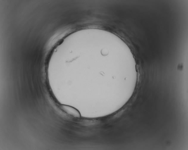 X0000115740245200912241653