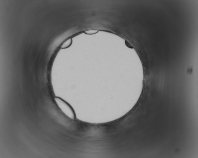 X0000115740248200912241653