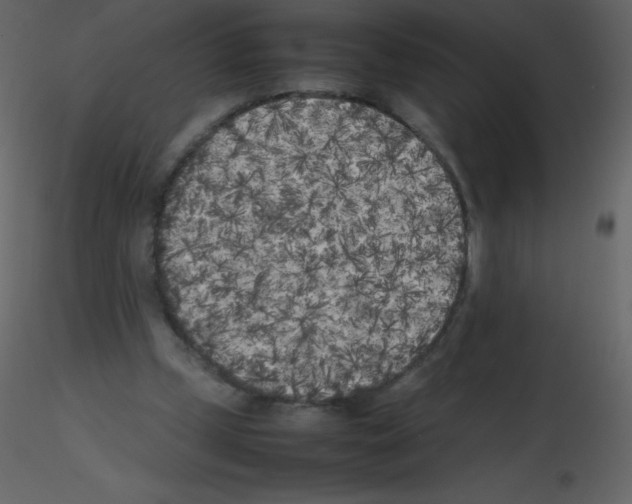 X0000115740249200912241653