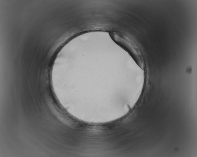 X0000115740250200912241653