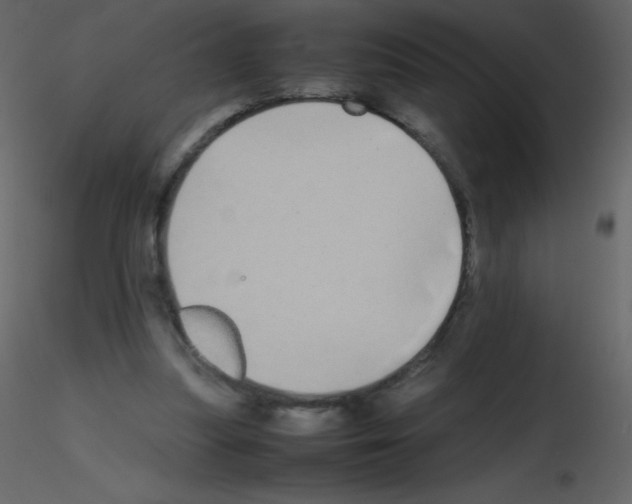 X0000115740251200912241653