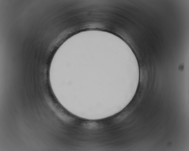 X0000115740253200912241653