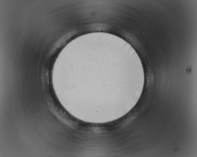 X0000115740254200912241653