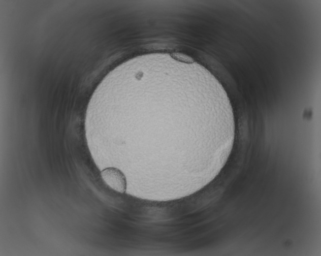 X0000115740255200912241653