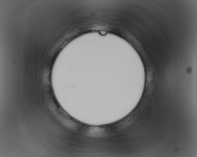 X0000115740257200912241653