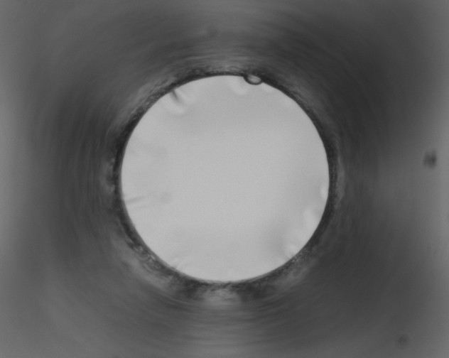 X0000115740258200912241653