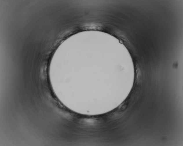 X0000115740259200912241653