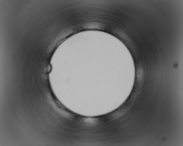 X0000115740261200912241653