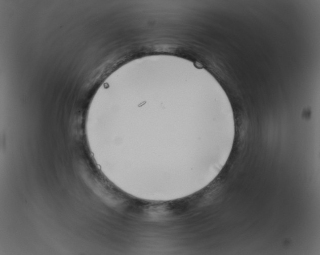 X0000115740262200912241653