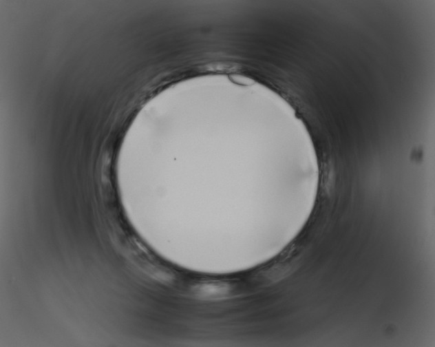 X0000115740263200912241653