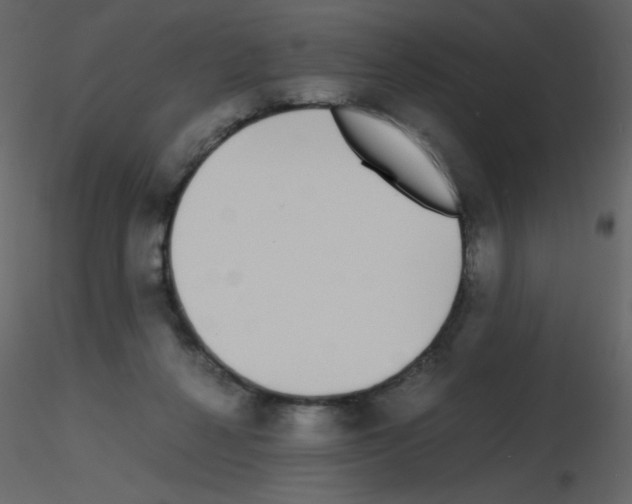 X0000115740264200912241653