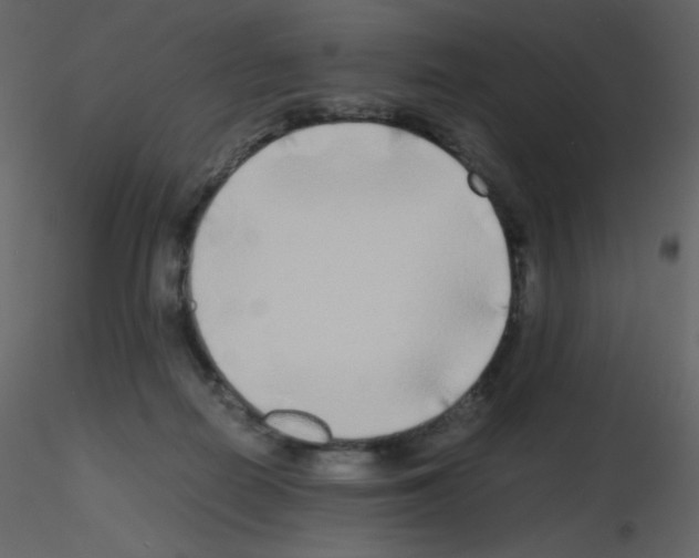 X0000115740266200912241653