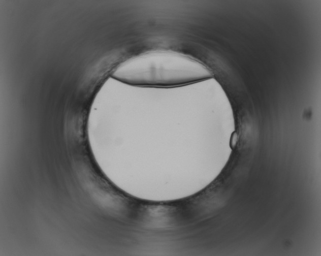 X0000115740268200912241653