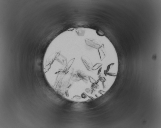 X0000115740269200912241653