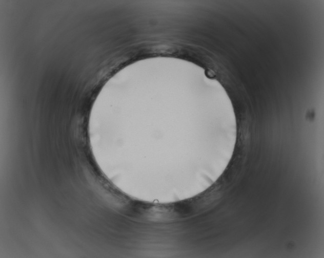 X0000115740270200912241653