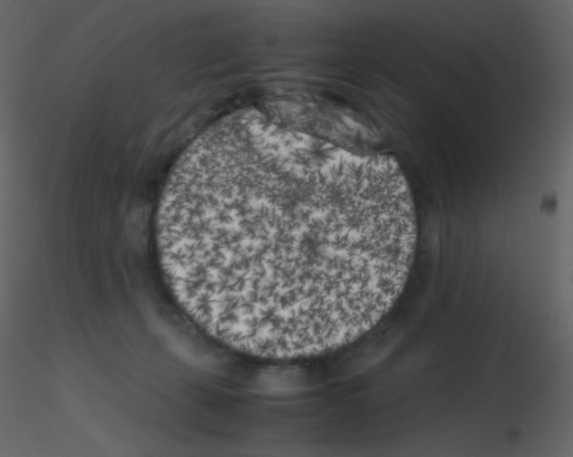 X0000115740271200912241653