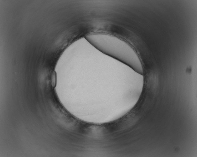 X0000115740272200912241653