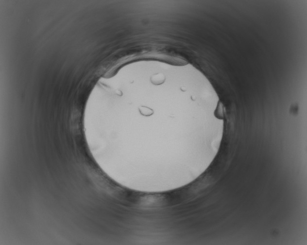 X0000115740274200912241653