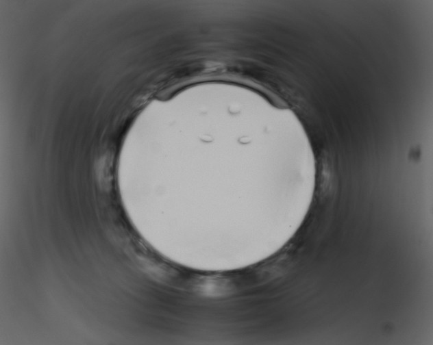 X0000115740275200912241653