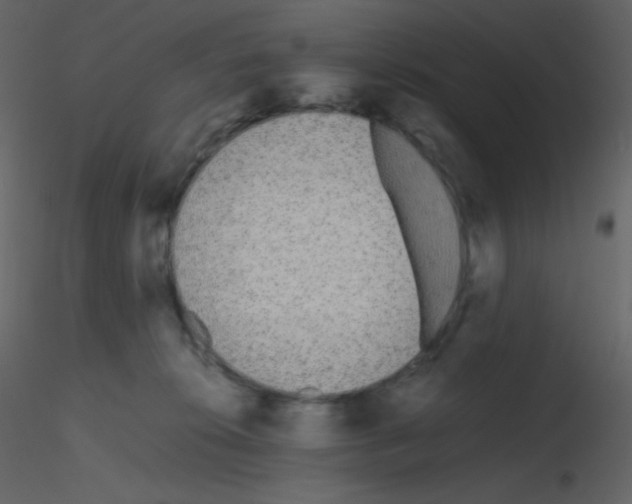 X0000115740276200912241653