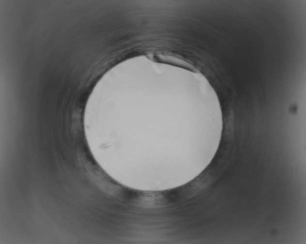 X0000115740278200912241653