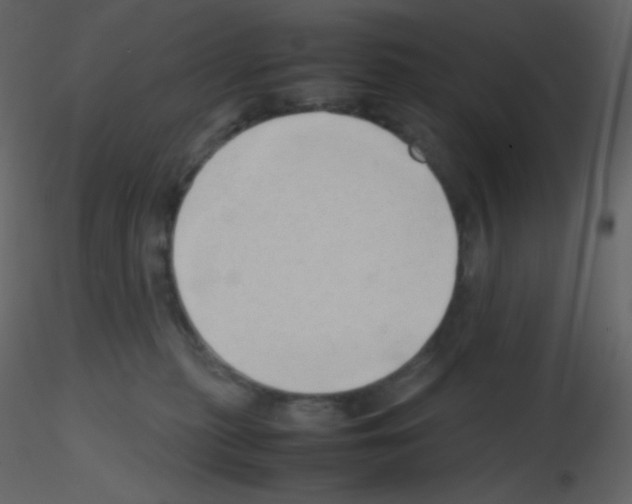 X0000115740279200912241653