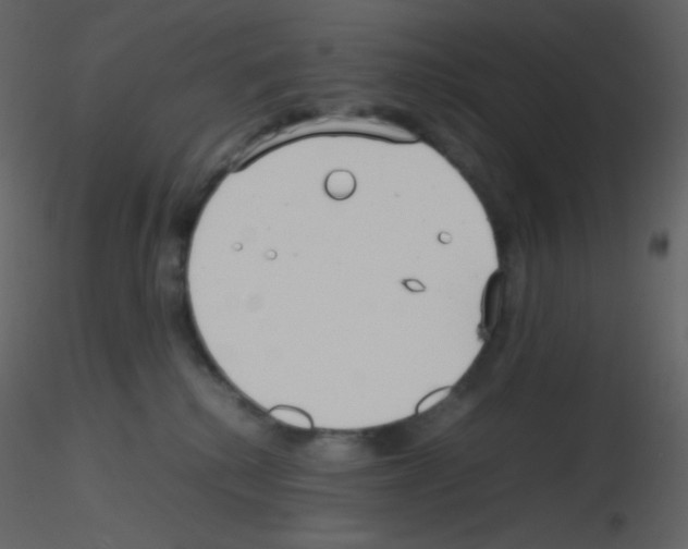 X0000115740280200912241653