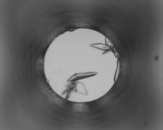 X0000115740281200912241653