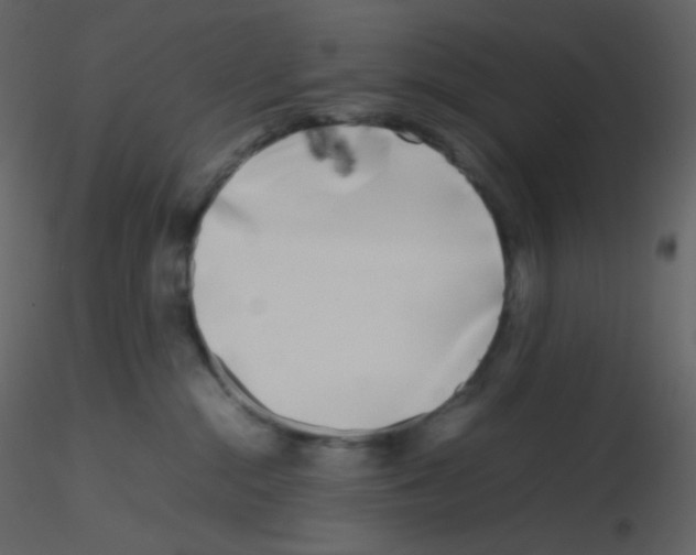 X0000115740284200912241653