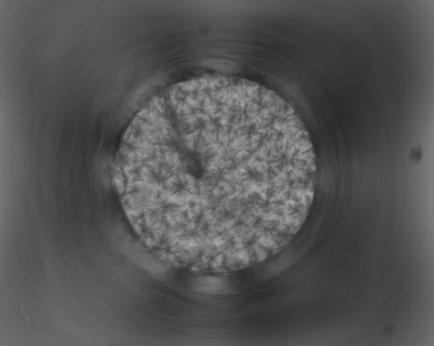 X0000115740285200912241653