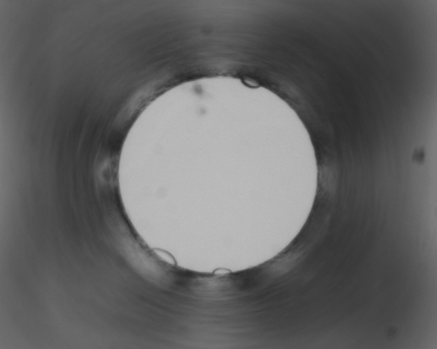 X0000115740286200912241653