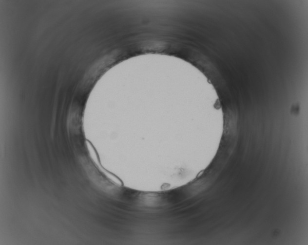 X0000115740287200912241653