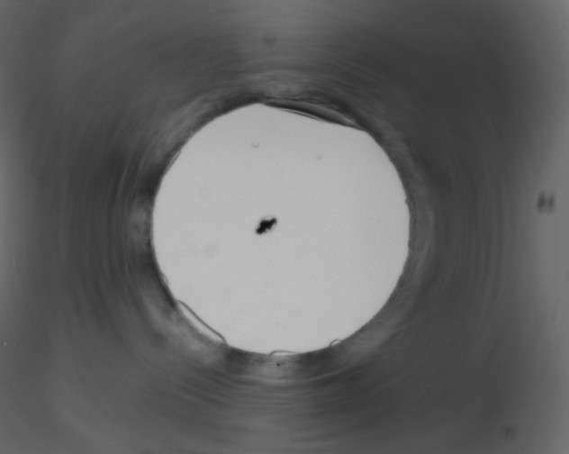 X0000115740288200912241653