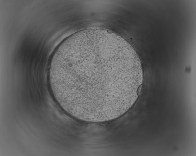 X0000115740290200912241653